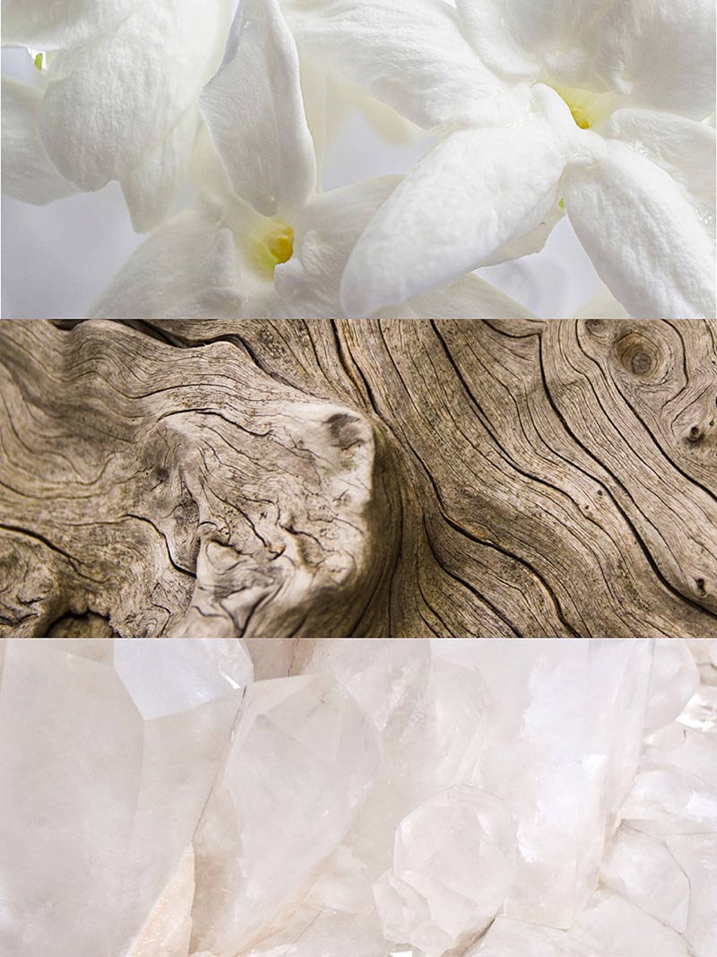 IRIS PROFUMO